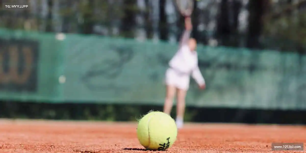 BG视讯官网——⚡壁球反弹,快如闪电!